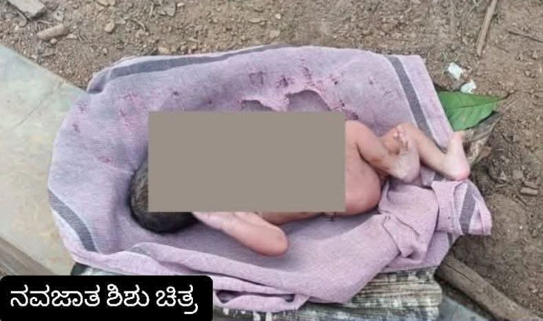 ಮನ ಕಲಕುವ ಘಟನೆ : ಕಾಫಿ ತೋಟದಲ್ಲಿ ನವಜಾತ ಶಿಶು ಪತ್ತೆ.!